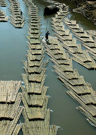 Bamboo logs are transported down the river Longai near Kanmun village, India